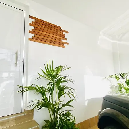 度假居 Big House Adeje Deluxe By Deihu Experiences